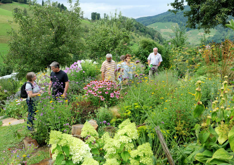 Bauerngarten Kapphansenhof/Glottertal: berbordende Flle erwartet Besucher, die durch den staudenreichen Bauerngarten schlendern.